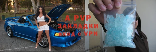 амф Алексин