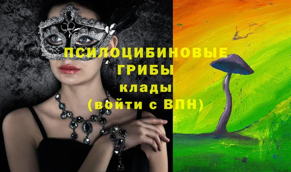 ГАЛЛЮЦИНОГЕННЫЕ ГРИБЫ Алексеевка