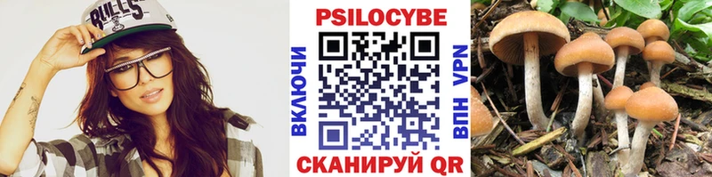 Псилоцибиновые грибы Cubensis  kraken ТОР  Тула  купить наркотики сайты 